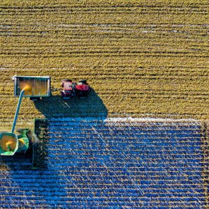 Farming