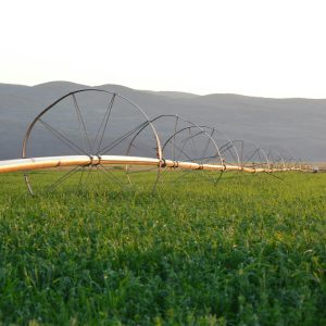 Irrigation System