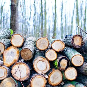 Logging
