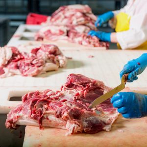 Meat Byproducts