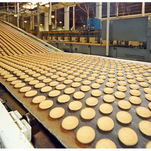 food manufacturing